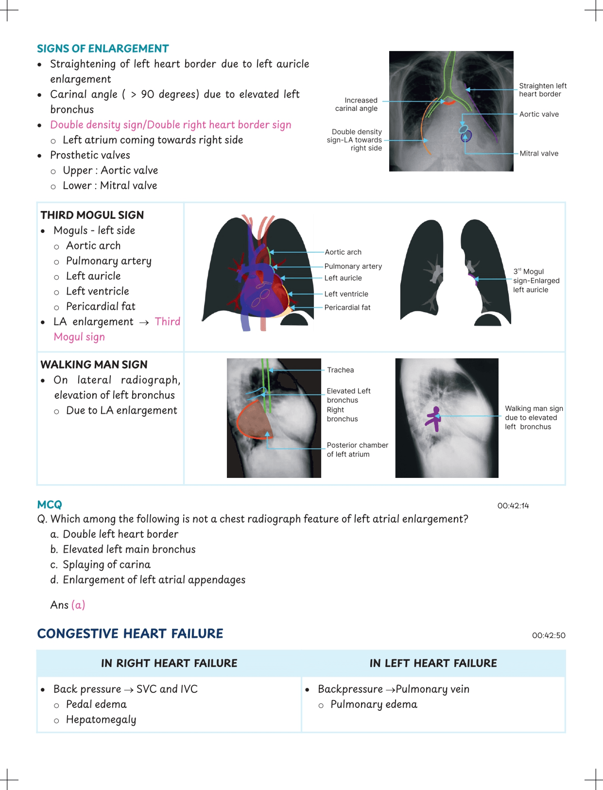 High-Quality Illustrations