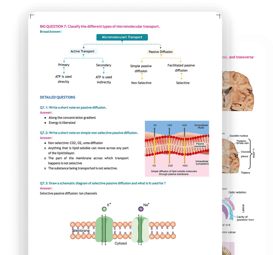 Q&E Notes