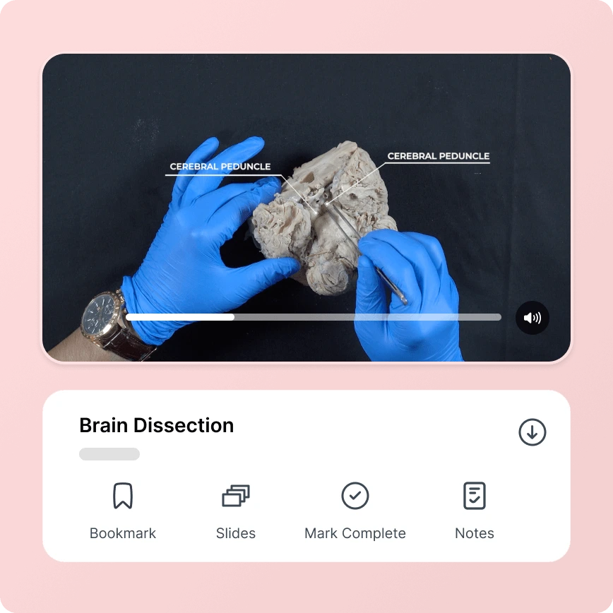 Dissection Videos
