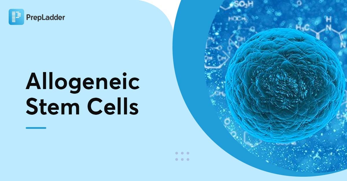 allogeneic-stem-cells