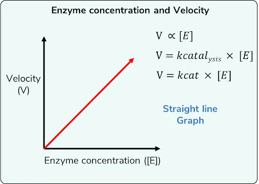 ENZYME KINETICS GRAPHS						
