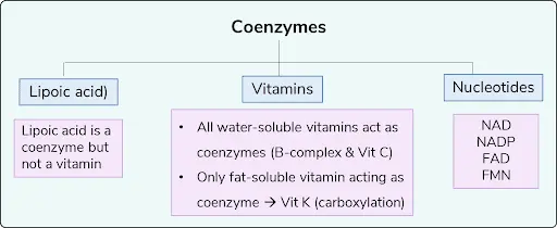 coenzymes
