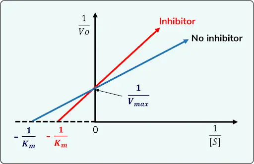 Identify the type of inhibitor in the graph