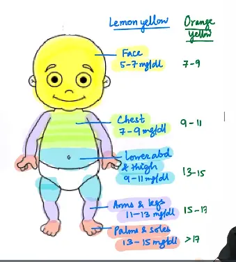 Clinical assessment of Neonatal Jaundice