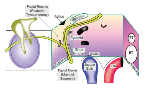 open MIDDLE EAR