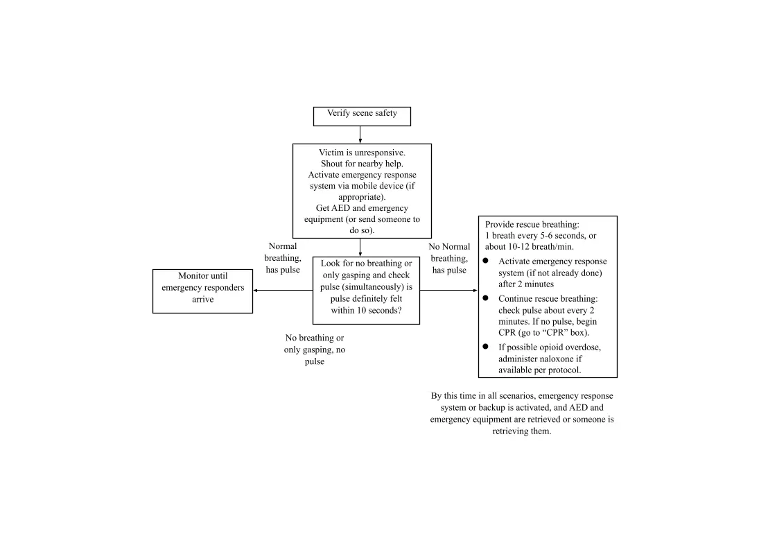 BLS protocol