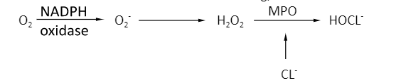 O2 dependent mechanism