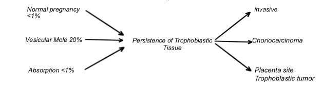 GESTATIONAL TROPHOBLASTIC NEOPLASIA 