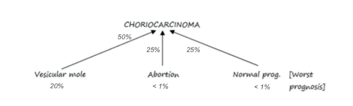 Choriocarcinoma 