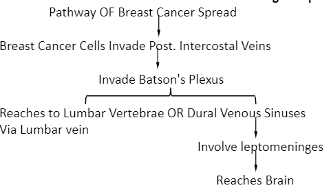 LOBULAR CARCINOMA INSITU