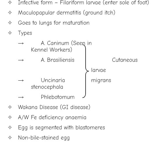 Ancylostoma Duodenale (HookWorm)