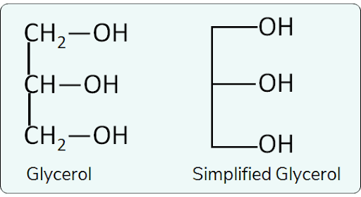 Simple Lipids