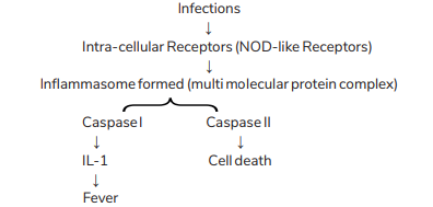 Pyroptosis