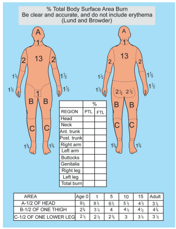 LUND-BROWDER’S CHART