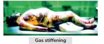 Gas stiffening 