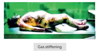 gas stiffening