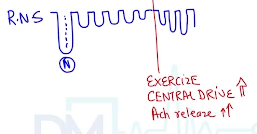 Repetitive nerve stimulation response