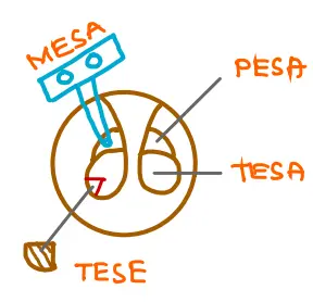  obstructive azoospermia