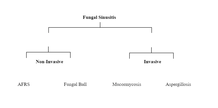 Fungal Sinusitis