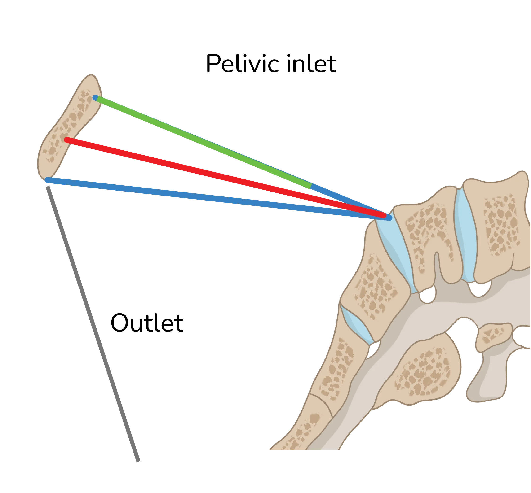 Obstetrical conjugate