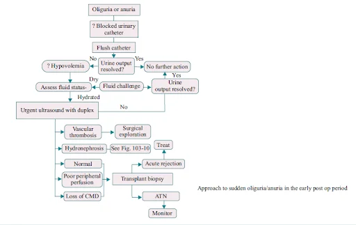 EARLY GRAFT DYSFUNCTION (Approach to Sudden oliguria)
