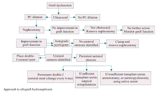 EARLY GRAFT DYSFUNCTION (Approach to Allographt hydronephrosis)
