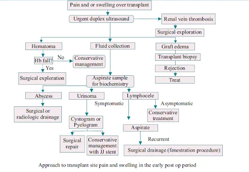 EARLY GRAFT DYSFUNCTION (Approach to Transplant Site Pain)
