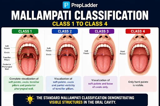 Airway Assessment: Predicting Intubation Difficulty