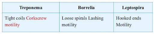 Spirochetes