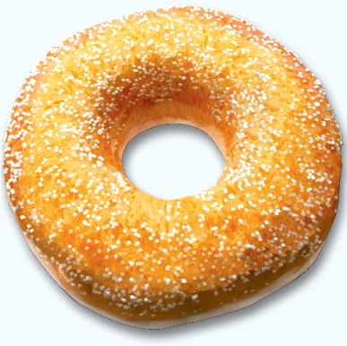 Coxiella