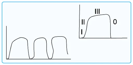 Capnograph