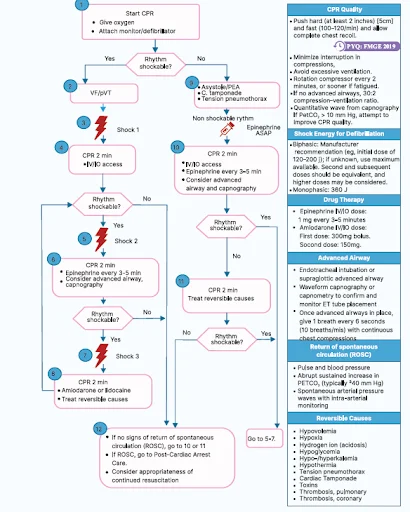 ACLS Algorithm