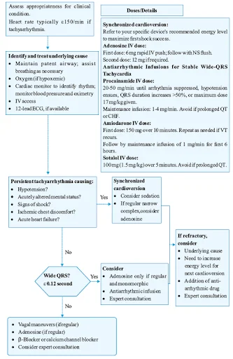 AHA algorithm for Tachycardia Management