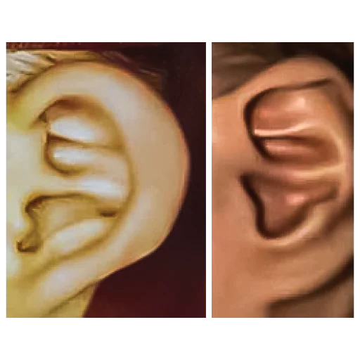 Railroad track ear
