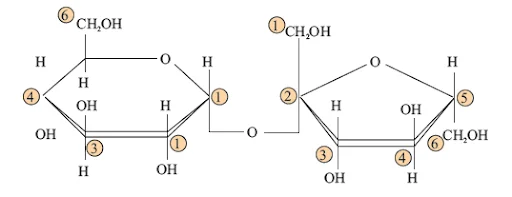 Sucrose