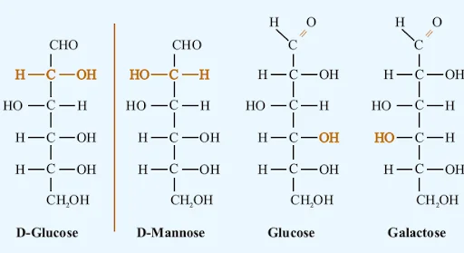 Diastereoisomerism