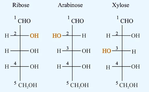 Enantiomerism
