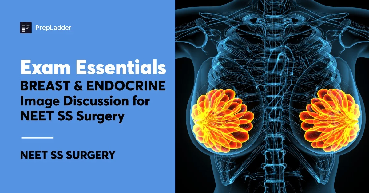 Exam Essentials: Breast & Endocrine Image Discussion