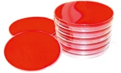 Blood Agar
