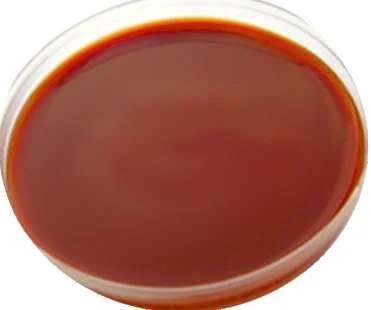 Chocolate Agar