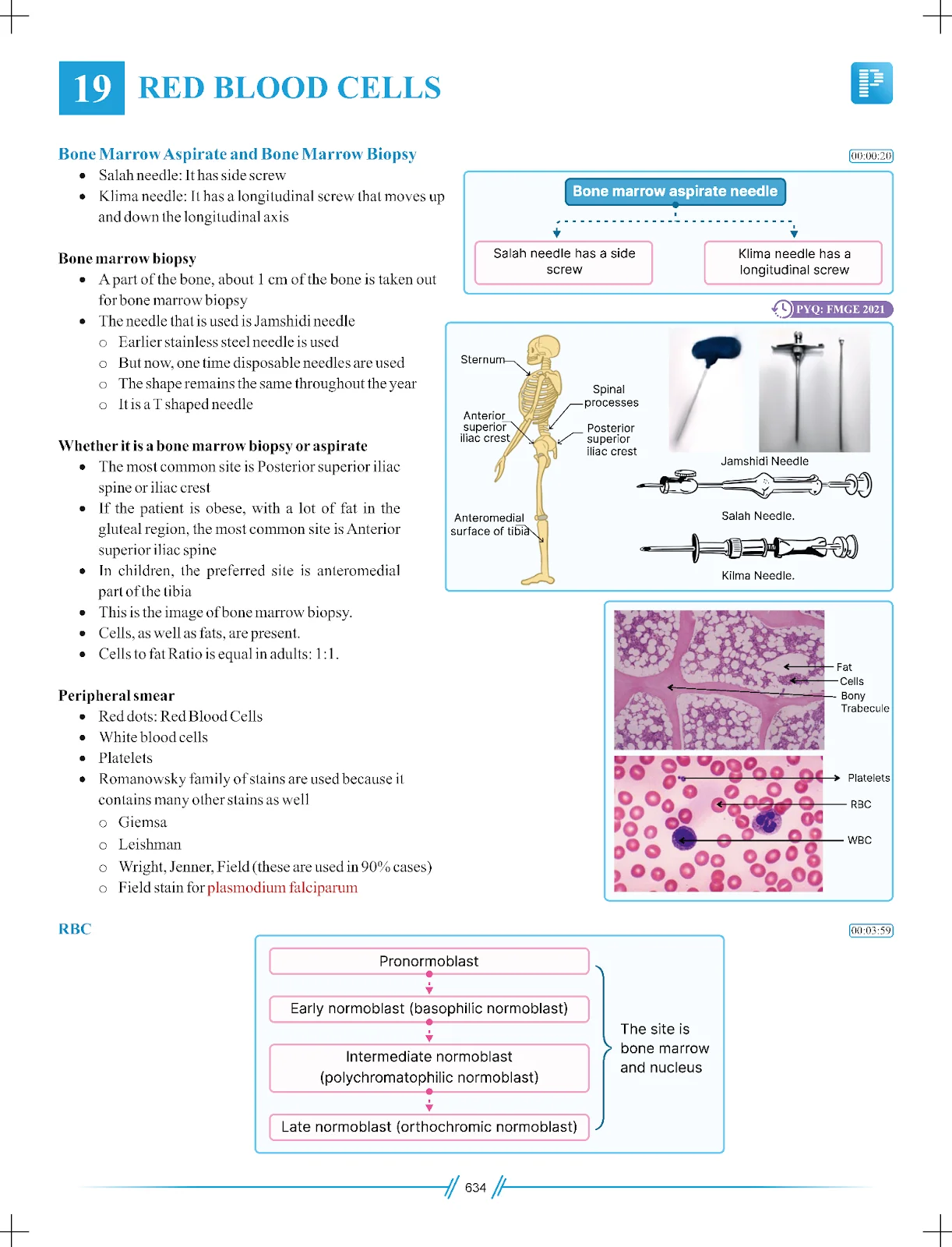 Rapid Revision 6.0
