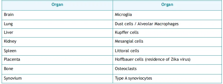 macrophage names in various organs