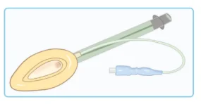 Laryngeal Mask Airway (LMA)