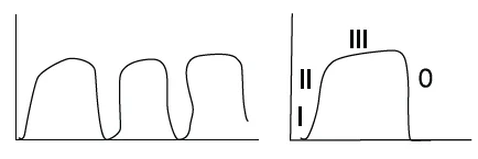 normal capnograph