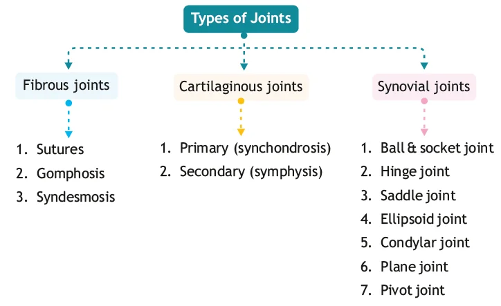 Types of joints
