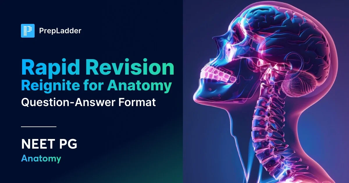 Rapid Revision Reignite Anatomy