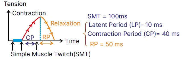 simple twitch