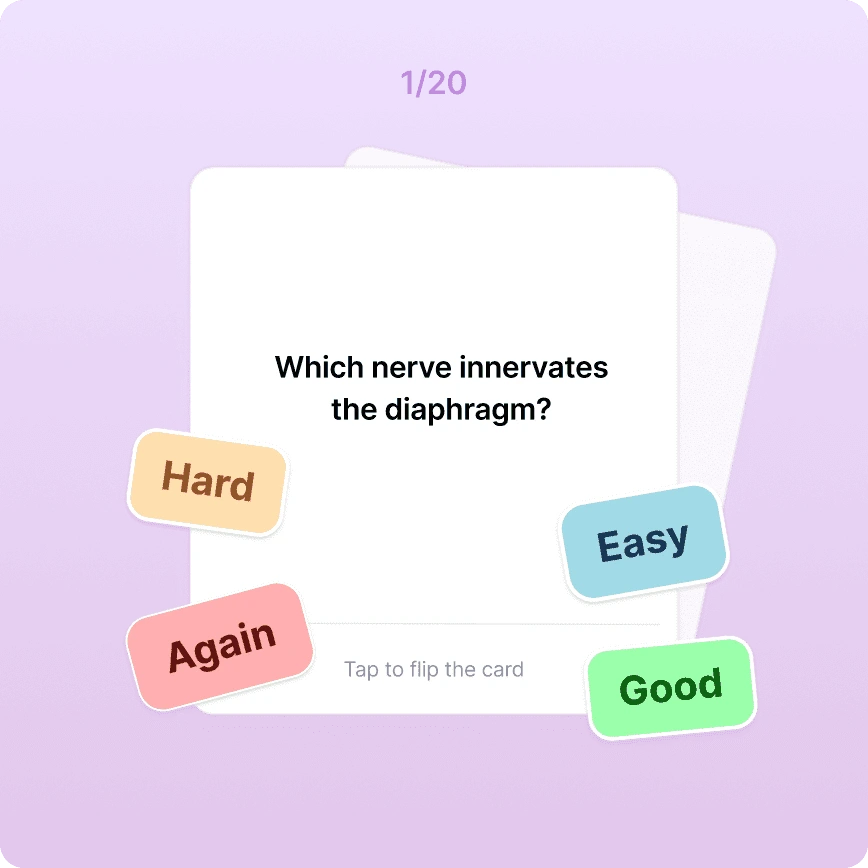Feature 7 SPARK. Intelligent Spaced-Repetition Flashcards