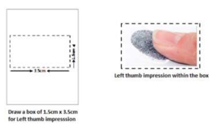 Signature & Thumb Impression